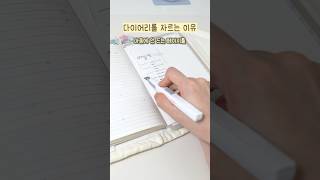 다꾸가 마음에 안 들 때는 과감하게 #스타일핏 #발색테스트