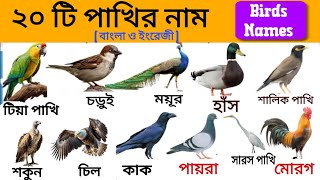 ২০ টা পাখি নাম বাংলা ও ইংরেজী তে | 20 Birds Name in Bangla and English | বাংলা পাখির নাম | #Birds