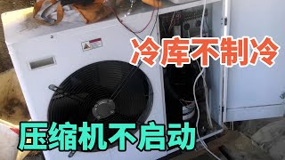 冷库室外机不启动，遇到这种情况怎么办？【胶东小王】