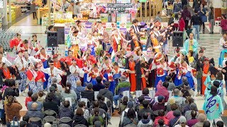 [4K] 総踊り 『タオル de ゑぇじゃないか』　ゑぇじゃないか祭り フォトコンテスト授賞式 2019