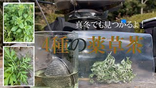 4種の野草茶