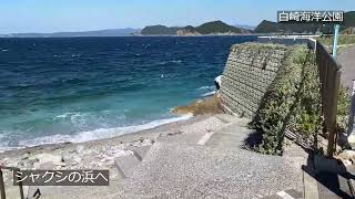 ◆和歌山県さんぽ◆【白崎海洋公園　白崎海岸　日本のエーゲ海　道の駅　和歌山県日高郡由良町