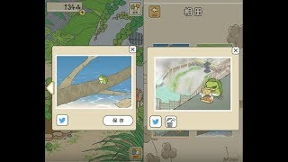 《旅行青蛙 旅かえる》青蛙去了樹枝上與瀑布明信片及特產烤包子!