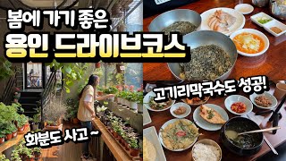 서울 근교 드라이브 코스 (경기도 용인 고기리막국수, 지앤아트스페이스, 일호점미역)