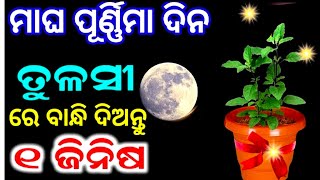 ୧୨ ଫେବୃୟାରୀ ମାଘ ପୂର୍ଣ୍ଣିମା ଦିନ ତୁଳସୀରେ ବାନ୍ଧନ୍ତୁ ୧ ଜିନିଷ ସବୁ ଦୁଃଖ ଦୂର ହେବ | Magha Purnima 2025 odia