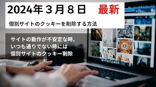 2024年3月最新版　個別サイトのクッキー削除 chrome 　パソコントラブル対策の基礎の基礎