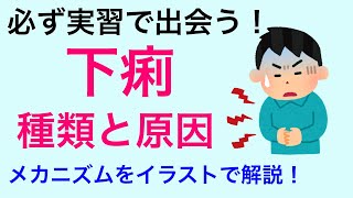 【実習で出会う可能性大】下痢の種類とメカニズムについて解説！