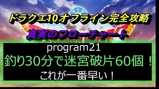 ドラクエ10オフライン完全攻略　釣り30分で迷宮破片60個！「真実のフローチャートprogram21」