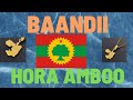 Baandii Hora Amboo - Best Full Album Music | Oromo Music