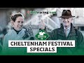 Is the Willie Mullins & Paul Townend Double good value!? | Cheltenham Festival Specials | Jump To It