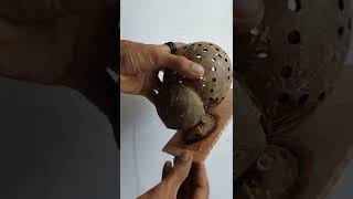 easy making coconut shell light💡😜 || #shorts #youtubeshorts #shortsfeed #craft #diy