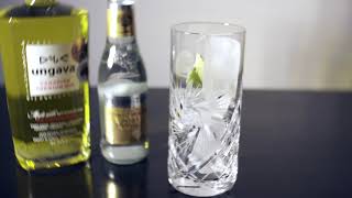 Ungava Gin Fever tree Tonic