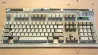 The IBM Model M Buyer's Guide