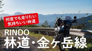 何度も走りたい！林道・金ヶ岳線