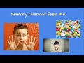 embedding sensory strategies in the classroom sensory overview