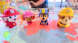 DIY Science Experiment: Will Paw Patrol Escape the Sticky Trap?!