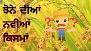 ਝੋਨੇ ਅਤੇ ਬਾਸਮਤੀ ਦੀਆਂ ਨਵੀਆਂ ਕਿਸਮਾਂ। New varieties of paddy and basmati