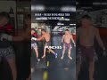 Belly Punching Shenanigans