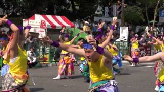 セントラルグループ踊り子隊  第62回よさこい祭り 本祭2日目 追手筋 北側