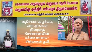 அதிசயம், அபூர்வம் அற்புதங்கள் நிறைந்த பச்சை மாலை பயணம் - Hidden Spot temple in Chennai