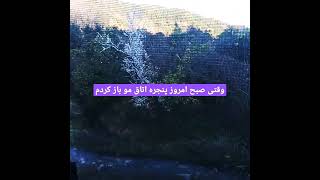 امروز وقتی پنجره اتاق مو باز کردم این تصویر را دیدم🌹🥰