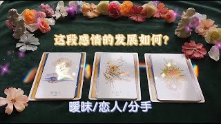 塔羅師Vivian💚你和TA的感情發展？🌈能量链接/不限感情關係（曖昧|戀人|斷聯）🌷內含宇宙建議、訊息