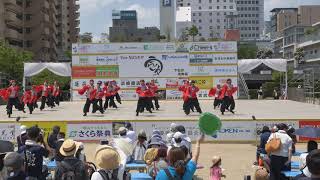 まほろば　うらじゃ２０１９　下石井公園演舞場　２日目　４ｋ