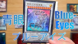 【遊戲王】Blue-Eyes Deck Combo Scenario / 青眼牌組展開方案