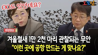 [현장영상] 겨울철새 1만 2천 마리 관찰되는 무안... \