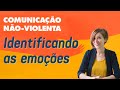 EU sei o que estou SENTINDO? | Comunicação Não Violenta | Aula 3