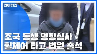 조국 동생, 영장심사 출석...오늘 밤 구속 갈림길 / YTN