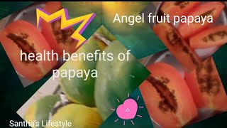 health benefit of papaya/ Angel fruit papaya # தனி சிறப்பு வாய்ந்த பப்பாளிப்பழம்