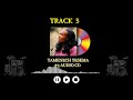 tamenech tesema track 5