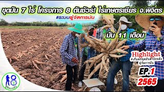 🔥เก็บตกขุดมัน8ตันชัวร์! 7 ไร่ มือใหม่ปลูกมัน 11 เดือน EP.1(HIGHLIGHT) | เกษตรเชียร |ผู้จัดการมัน2565