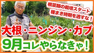 家庭菜園や農園で大根・ニンジン・カブ栽培スタート！土作りや発芽後の管理、9月の根菜類の育て方を徹底解説！【農園ライフ】