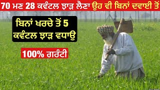 High yield wheat management | ਰਿਕਾਰਡ ਤੋੜ ਝਾੜ ਲੈਣਾ ਤਾ ਆ ਗਲਤੀਆਂ ਨਾ ਕਰੋ