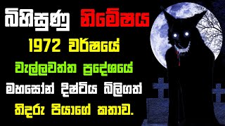 Mahason Billa | මහසෝන් බිල්ල | Bihisunu Nimeshaya (සත්‍ය හොල්මන් කතා ඇසුරෙනි)