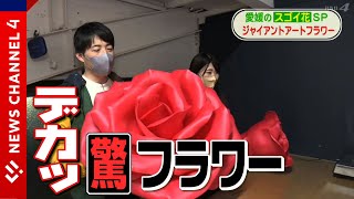 直径１ｍ！巨大フラワー 美味しい花の正体は…＜NEWS CH.4＞