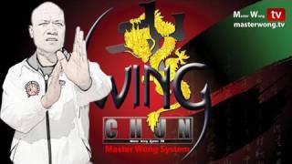 Wing Chun kung fu Biu Jee Preview