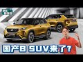 Perodua D66B 为什么还不发布，RM 73,000 起跳可以买吗？（汽车咖啡馆）｜automachi.com 马来西亚试车频道