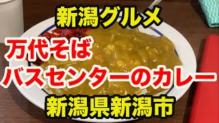 【新潟グルメ】万代そば バスセンターのカレーを食べてきた(新潟県新潟市)(Vlog211211)