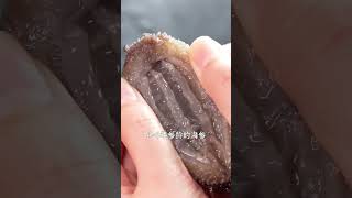 【#郝大厨美食】品质高端的海参,鲜蒸工艺、不用泡发,家里有老人一定别错过!#海参美食做法 #海鲜美食 #辽参