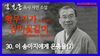 [오디오북] 『황무지가 장미꽃같이』 30장. 이 송아지에게 은총을(2)