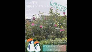 【2025年冬 横浜イングリッシュガーデン】ウェルカムガーデン