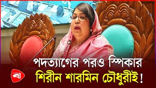 পদত্যাগ করলেন শিরীন শারমিন, স্পিকার পদ কি শূন্য | Protidiner Bangladesh