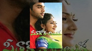 Seethakoka Chiluka Full Telugu Movie - Navdeep, Sheela