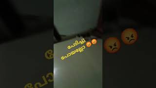 പതുക്കെ വിളിച്ചുകൂടേടാ....... നിനക്ക് 😡😡🤣🤣ഡെല്ലമോൾ പേടിച്ചു #shortsfeed #cat #pets #shorts