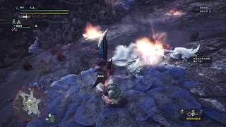 【偶然】MHW拔刀特化大劍IN麒麟