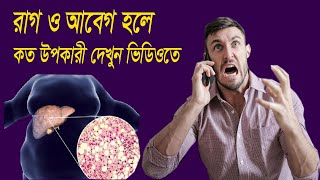 আবেগ বা রাগ আপনার জীবনে কিকি উপকার করে একবার হলেও দেখুন এ ভিডিওতে  Green Health