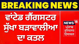 Breaking News | ਗੈਂਗਸਟਰ ਸੁੱਖਾ ਬਾੜੇਵਾਲ ਦਾ ਕਤਲ | Gangster Sukha Barewal Shot Dead | News18 Punjab